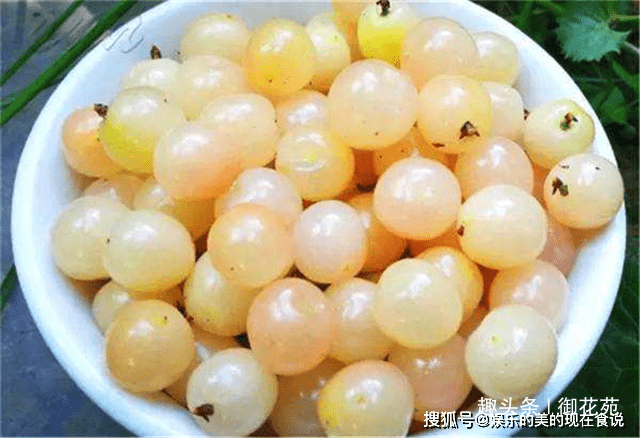 “华体会体育”
它是白玉樱桃 比红樱桃贵70元1斤 一般人还吃不起(图2)