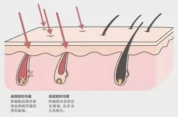 华体会体育